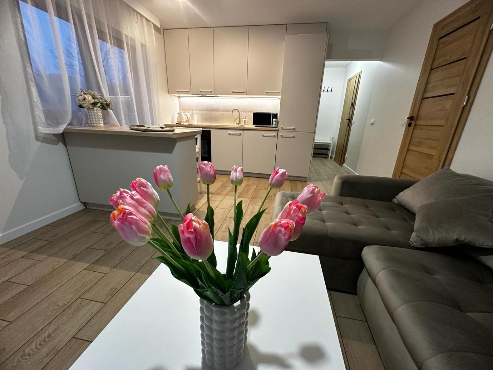 Apartamenty Biala Gran Закопане Экстерьер фото