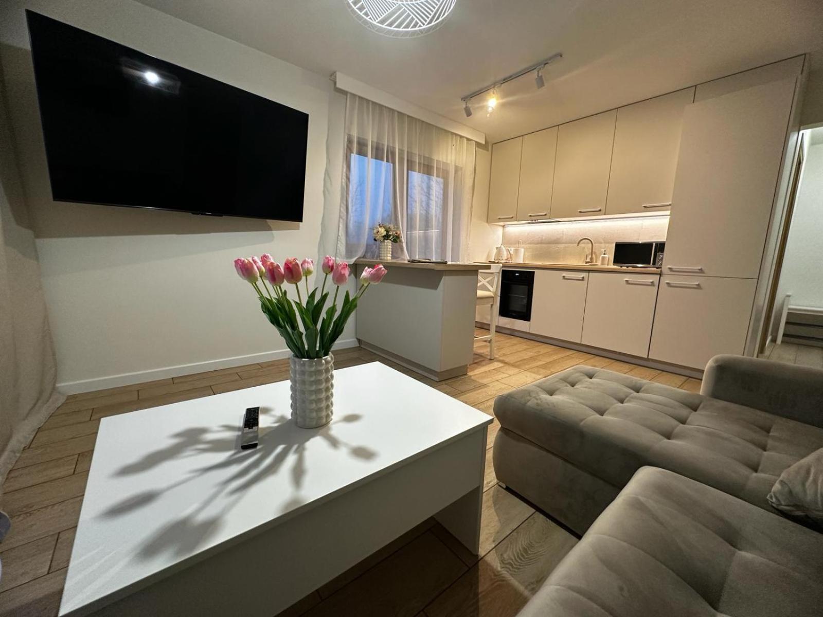 Apartamenty Biala Gran Закопане Экстерьер фото